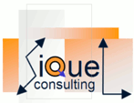 SiQueL Consulting